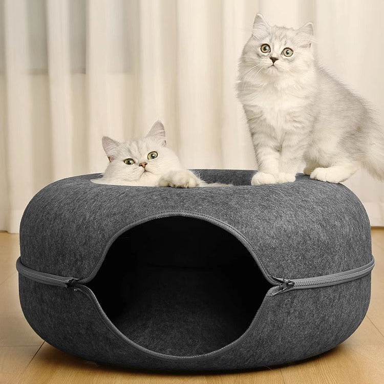 Cat Tunnel