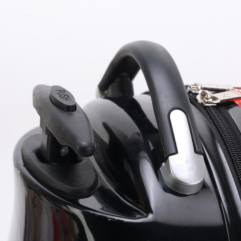 Pet Carrier With Wheels