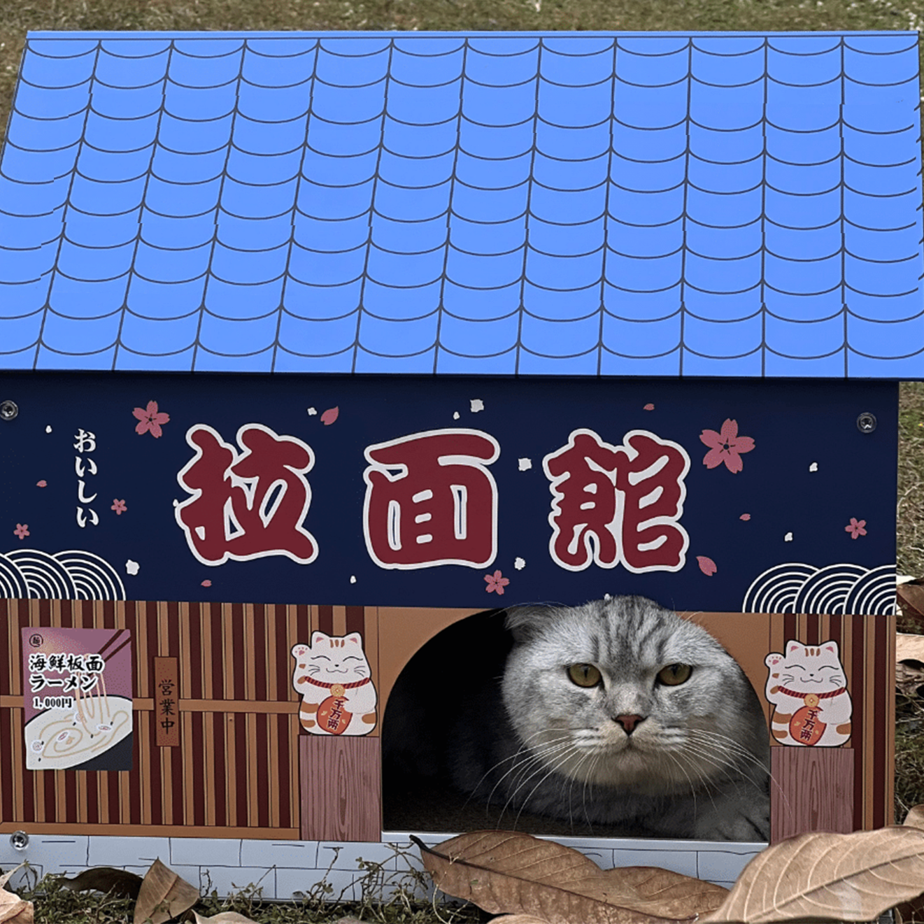 Cat Cardboard Scratcher - Ramen House