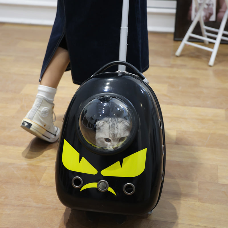 Pet Carrier With Wheels