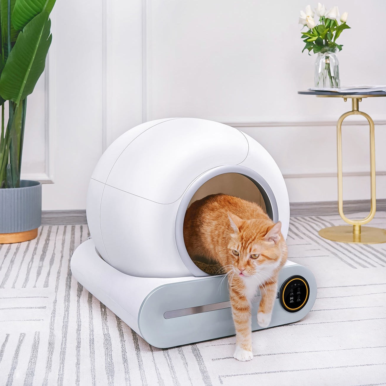 Smart Cat Litter Box - G1