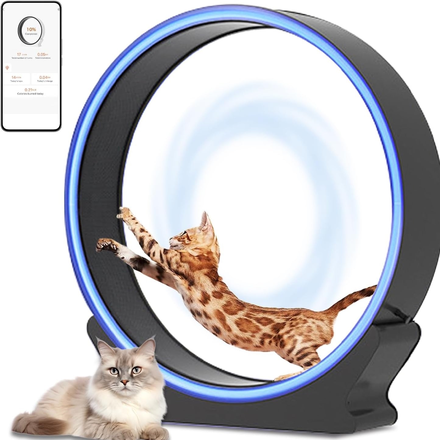 ABS Cat Treadmill (Exercise Wheel)