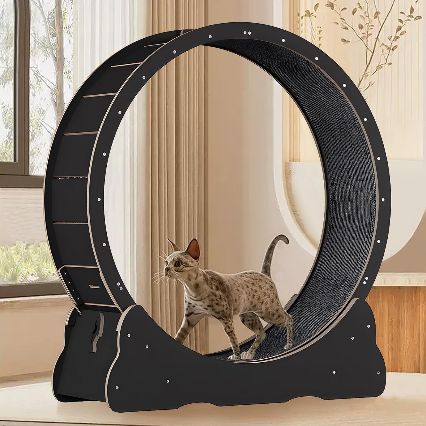 Cat Treadmill (Exercise Wheel) - Extra Large