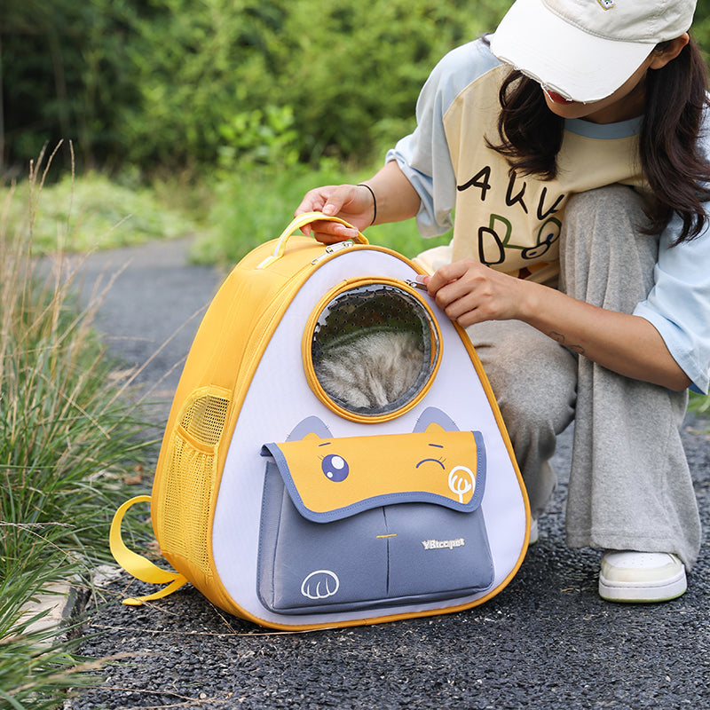 Pet Triangle Backpack Carrier