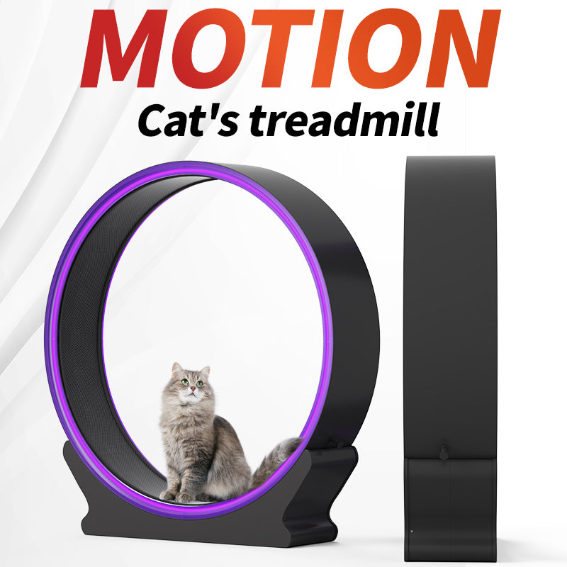 ABS Cat Treadmill (Exercise Wheel)