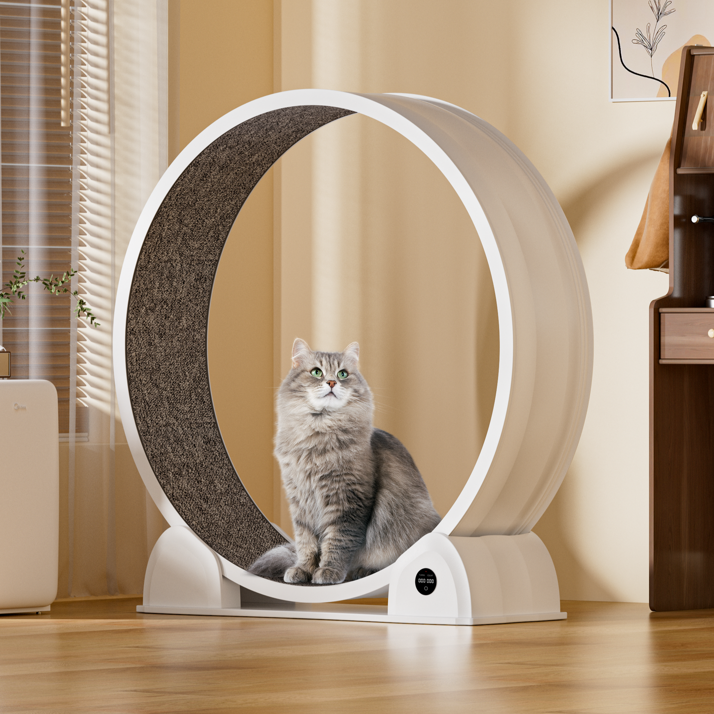ABS Cat Treadmill G2