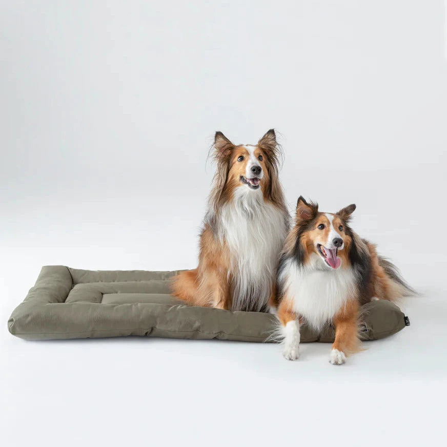 Dog Crate Bed - Maze