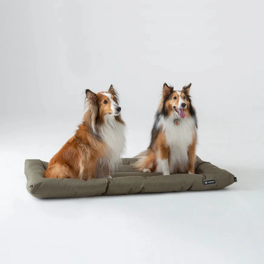 Dog Crate Bed - Maze