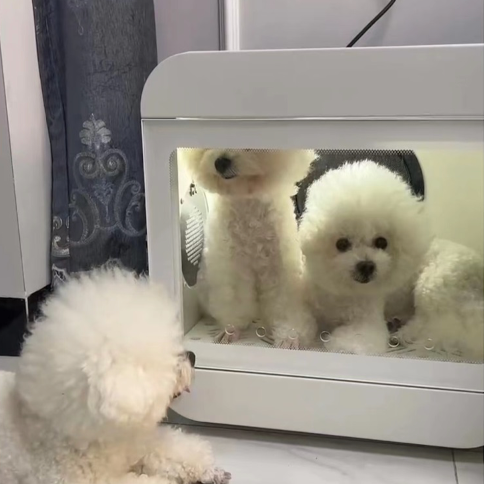 Pet Dryer Box