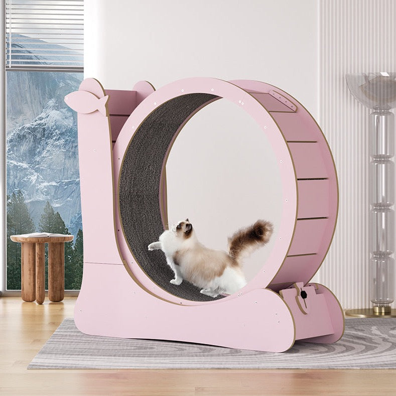 Snail Shaped Cat Treadmill (Exercise Wheel) - Large