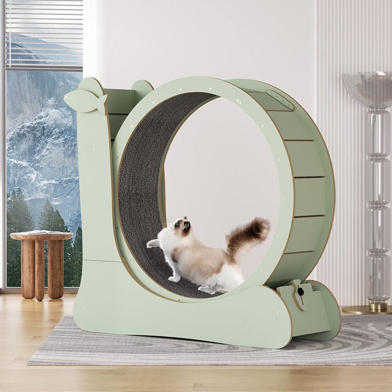 Snail Shaped Cat Treadmill (Exercise Wheel) - Large