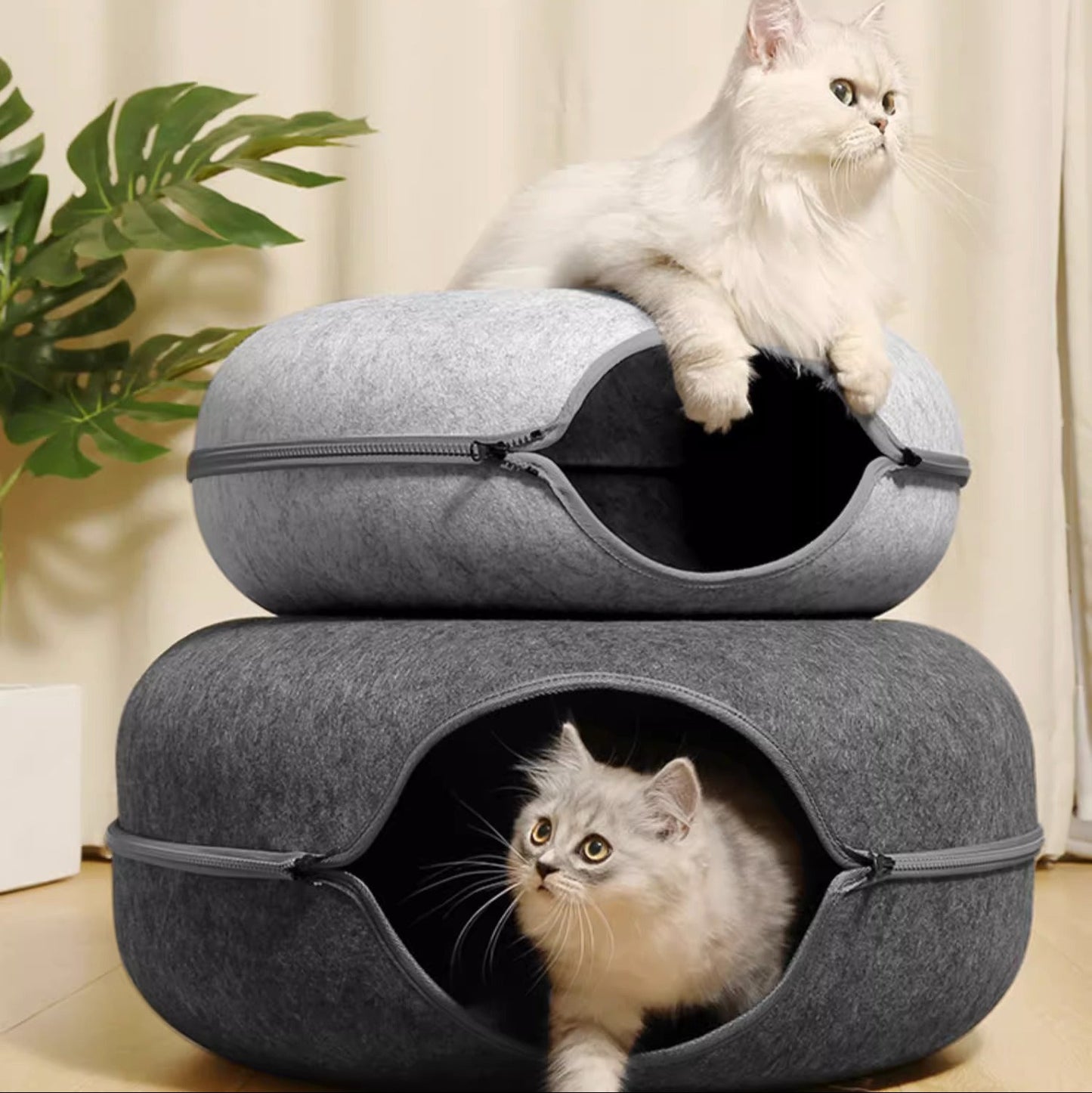 Cat Tunnel