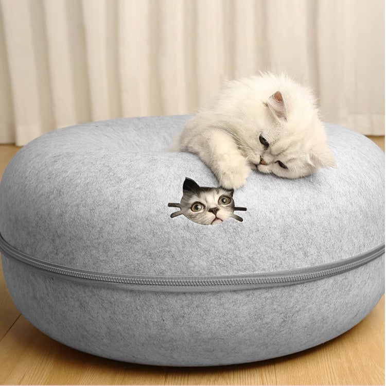 Cat Tunnel