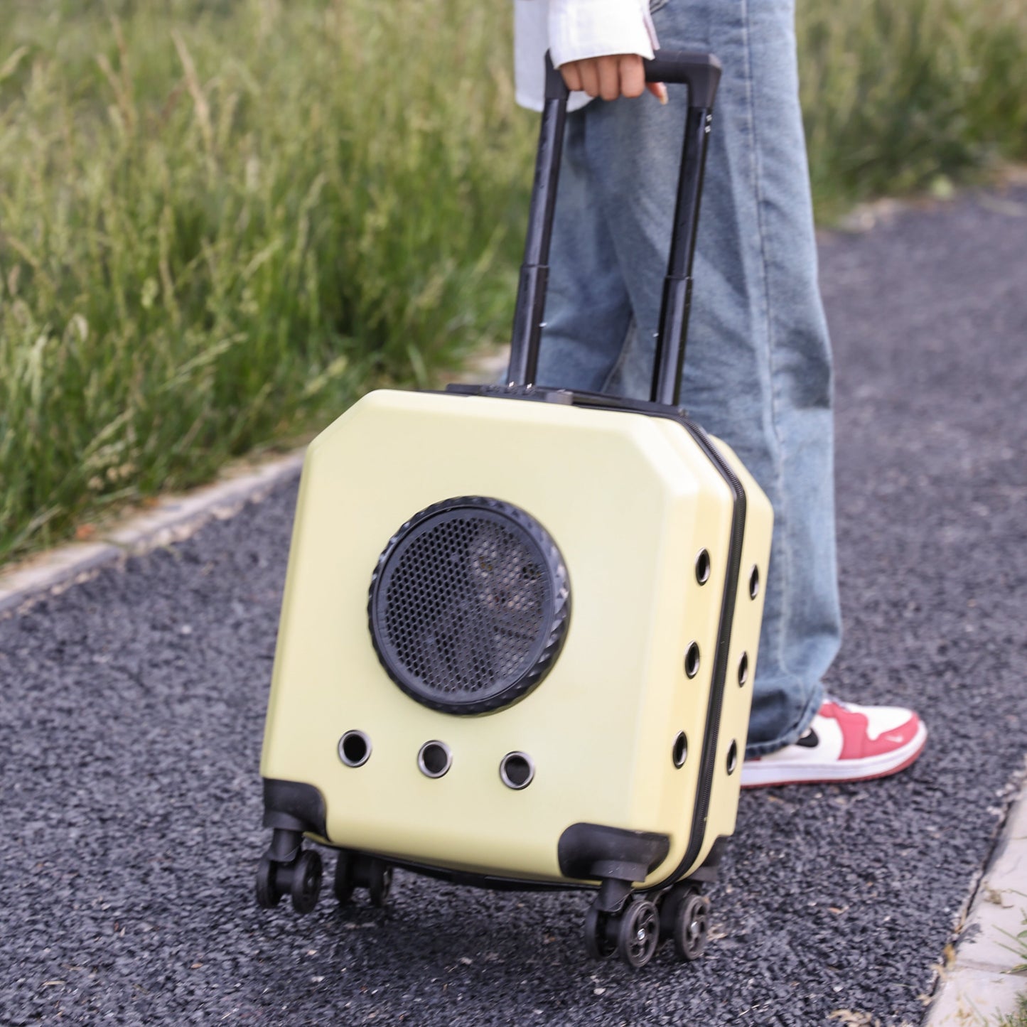 Pet Space Capsule Carrier With Wheels