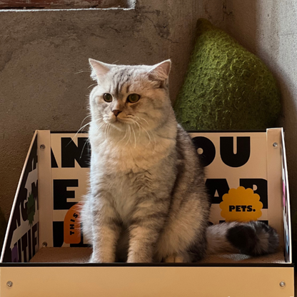 Cat Cardboard Scratcher - Letter