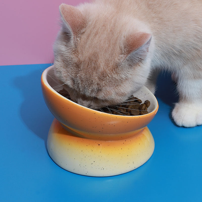 Elevated Ceramic Food Bowl