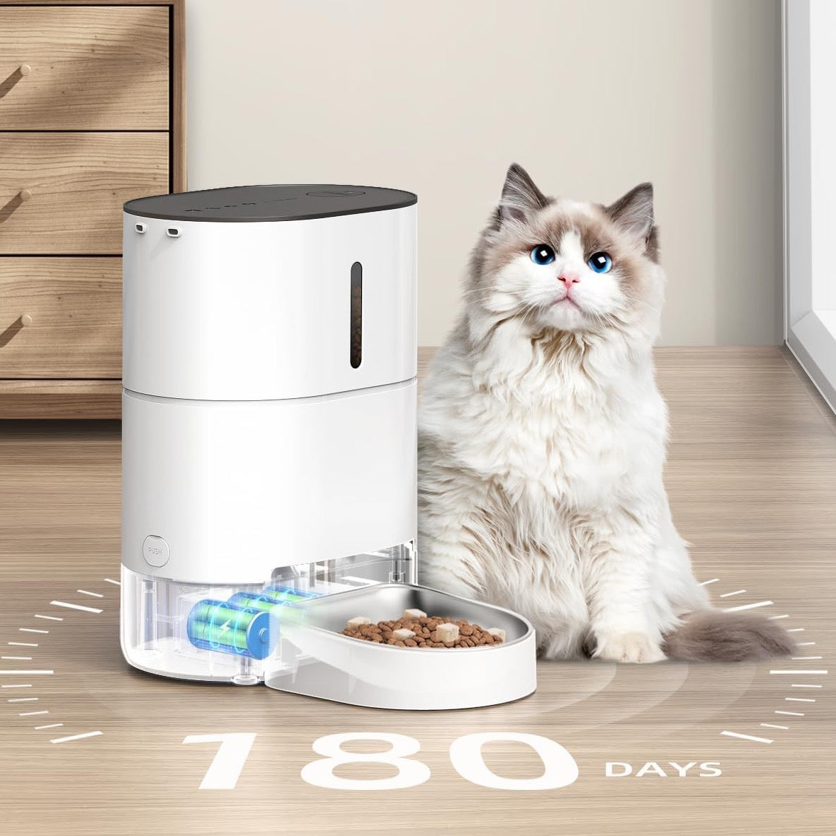 Smart Pet Feeder