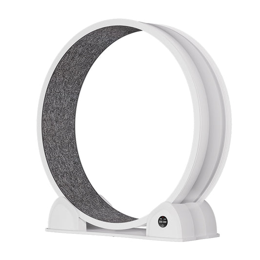 ABS Cat Treadmill G2