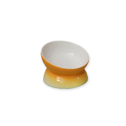 Elevated Ceramic Food Bowl