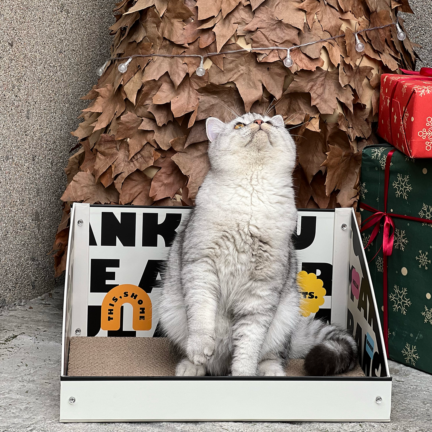Cat Cardboard Scratcher - Letter