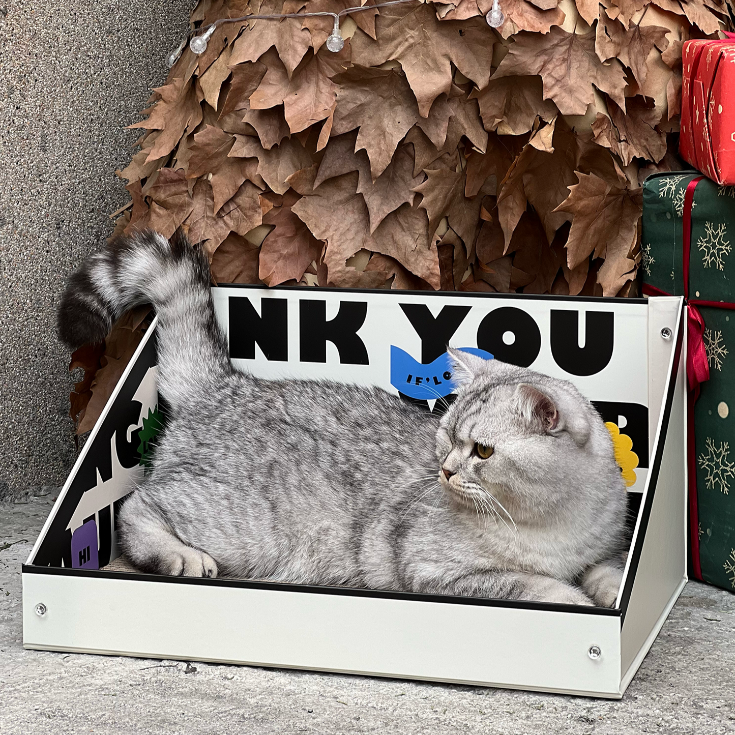 Cat Cardboard Scratcher - Letter