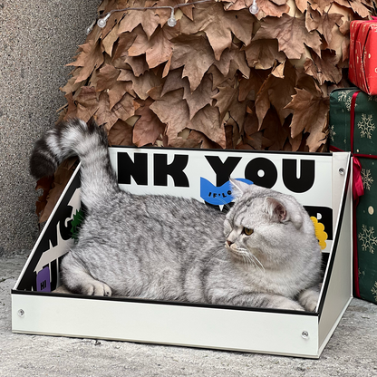 Cat Cardboard Scratcher - Letter