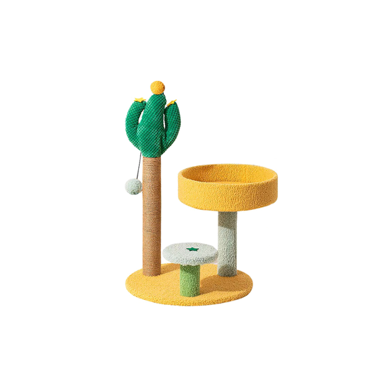Cactus Scratching Post