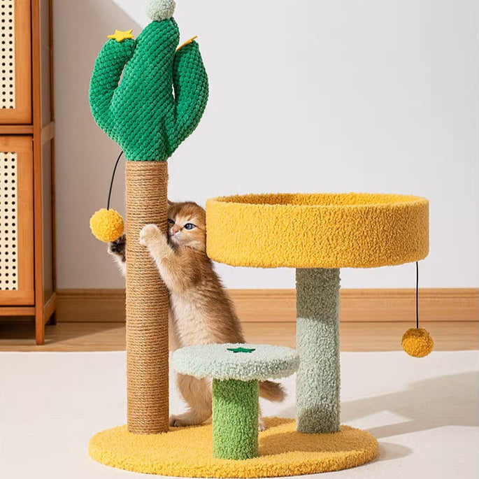 Cactus Scratching Post