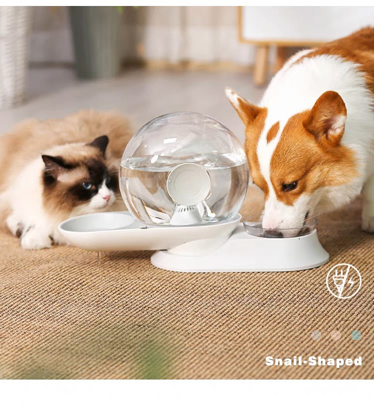 Pet Water Dispenser and Food Bowl
