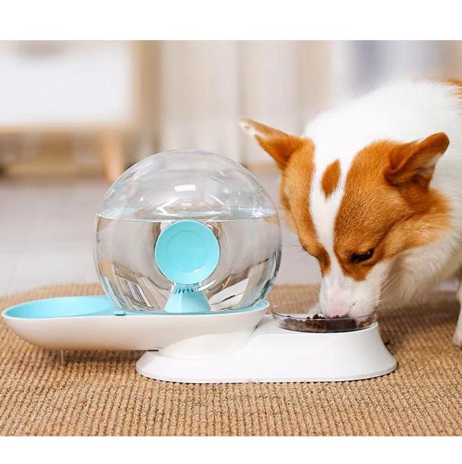 Pet Water Dispenser and Food Bowl
