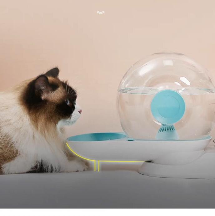 Pet Water Dispenser and Food Bowl