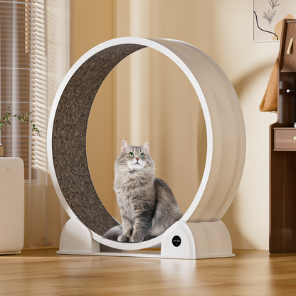 ABS Cat Treadmill G2