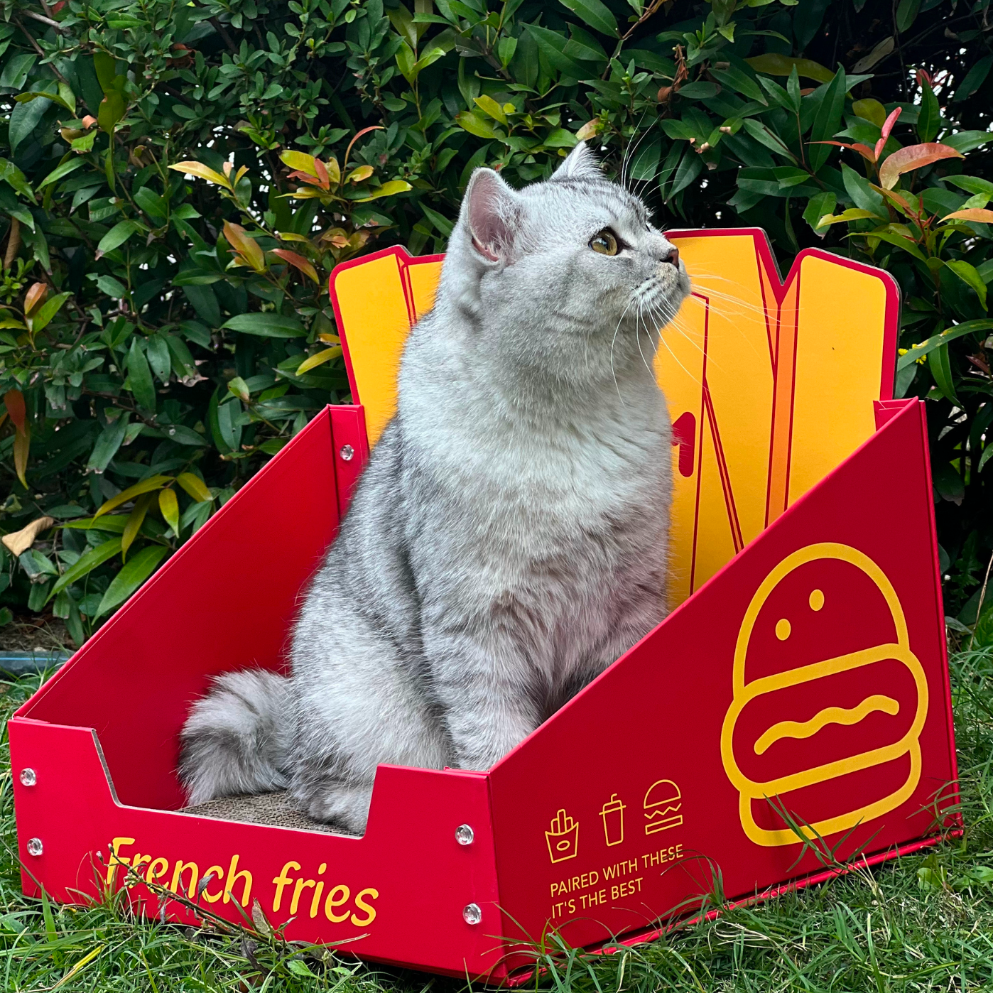 Cat Cardboard Scratcher - Fries