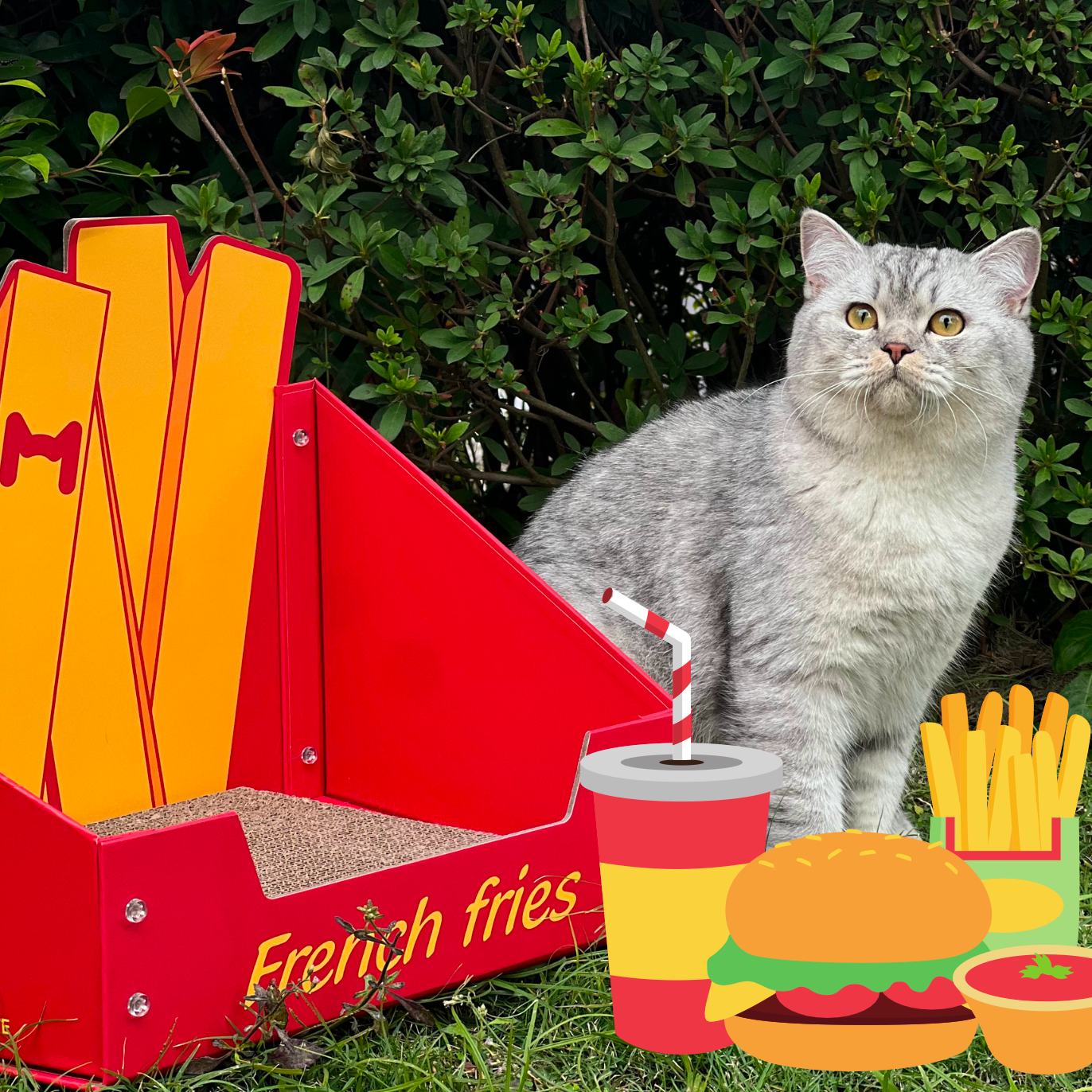 Cat Cardboard Scratcher - Fries
