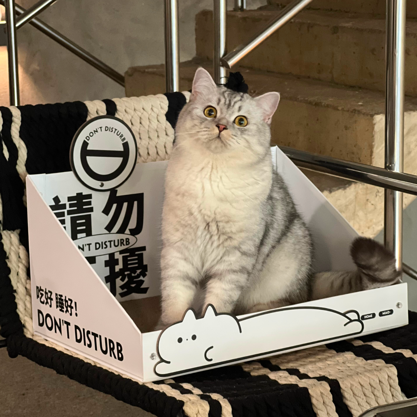 Cat Cardboard Scratcher - No Disturb