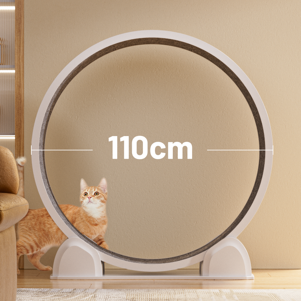 ABS Cat Treadmill G2