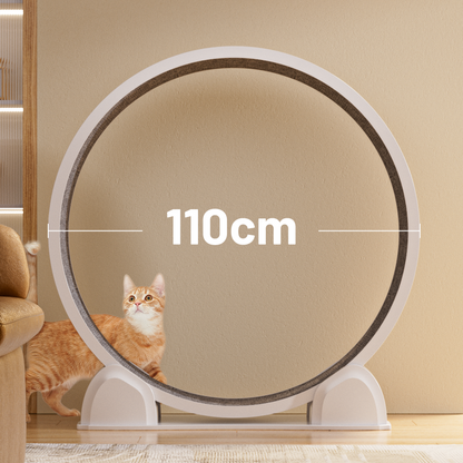 ABS Cat Treadmill G2